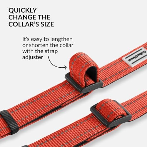 Reflective Dog Collar, Quick-Release Buckle (Orange, 12-16 Inch)
