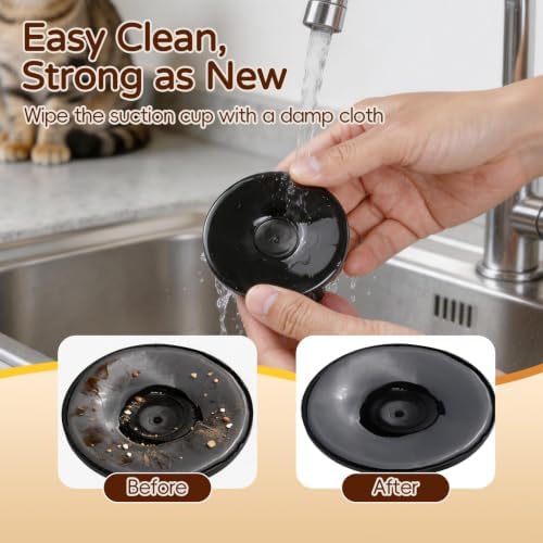 Interactive Cat Toys for Indoor Cats, Auto Cat Toy