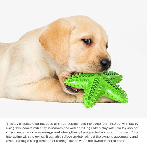 Carllg Dog Toys for Aggressive Chewers, Puppy Teething Chew Toys, Durable Indestructible Squeaky Interactive Puzzle Starfish Toys for Small Medium Large Breed