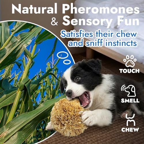 Natural Dog Chew Toy, 1pcs Woven Grass Chew Ball for Dogs, Dental Teething Toy & Interactive Fetch Toys, Outdoor Rattan Digestible Chew Ball for Boredom Relief - Cornsilk