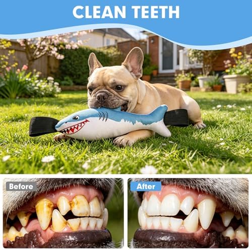 BINGPET Interactive Dog Toys for Small Dogs, Squeaky Dog Chew Toys to Keep Them Busy, Tug of War Puppy Training Toys for Chewers, Small & Medium Dogs, Fetch Lovers, Durable Puppy Necessities, Shark