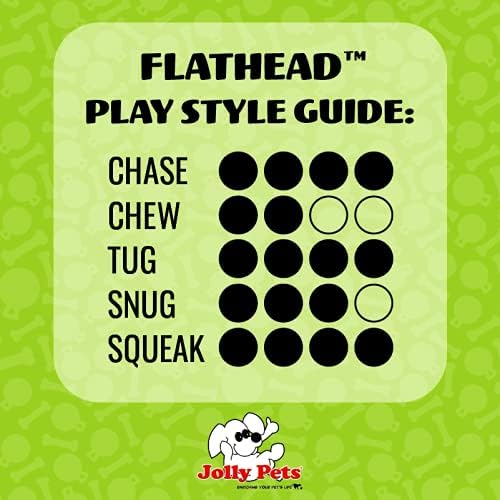 Jolly Pets Flathead Tug & Squeak Dog Toy, Stuffing-Free, Large