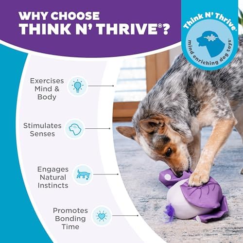 Outward Hound by Nina Ottosson Hide N' Find Interactive Plush Dog Puzzle, Durable Dog Toy, Plush Enrichment Toys, Cauliflower, Purple