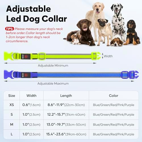 Flashseen LED Dog Collar, Light Up Dog Collar USB Rechargeable, Blue, L