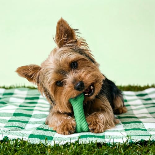 Playology Dual Layer Bone Dog Chew Toy - Small, Watermelon Scent, 2-Pack