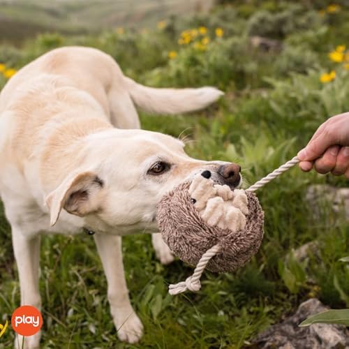P.L.A.Y. Cute Plush Dog Toys - Forest Friends Critter Themed Durable Squeaker Crinkle Chew Toy, Great for Puppies & Small, Medium, Large Dogs - Machine Washable, Recycled Materials (Hedgehog)