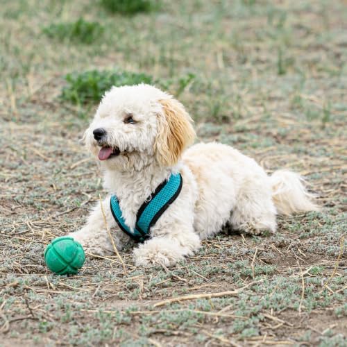 PetKORE: FloTex Ball - Medium - 2.5", Green, Dog Toy, Proprietary Rubber, Patented Open Airflow Grooves, Bounce-Fetch-Chew, Pet Indoor-Outdoor Play