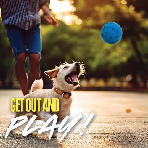Nerf Dog Rubber Ball Dog Toy with Checkered Squeaker, Lightweight, Durable and Water Resistant, 4 Inch Diameter for Medium/Large Breeds, Single Unit, Blue