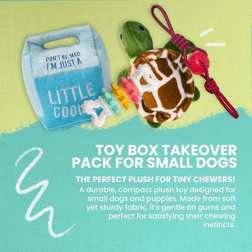 Snugarooz Toy Box Takeover for Small Breeds – Spikey Baby, Twist & Shake Nylon Bone, Baby Shelldon & Lil Cooler – Mixed Texture Playset for Chewing, Cuddling & Fun