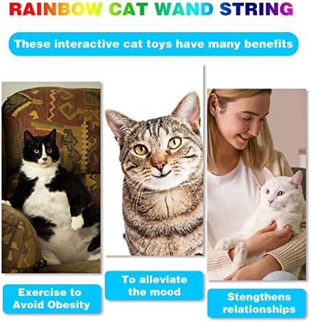 Cat Wand Toys Interactive Kitten Toys for Indoor Cats-2Pcs