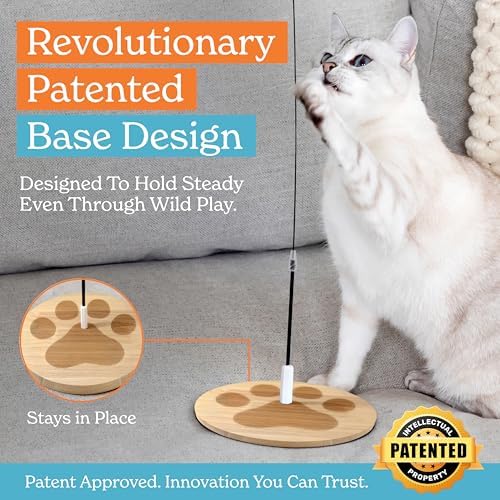 Cat Toys For Indoor Cats: Interactive Cat Toy Wand, 9 Feathers Wand Lures