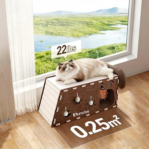 Cat Tunnel House for Indoor Cats, 3-in-1 Felt Cave and Scratcher