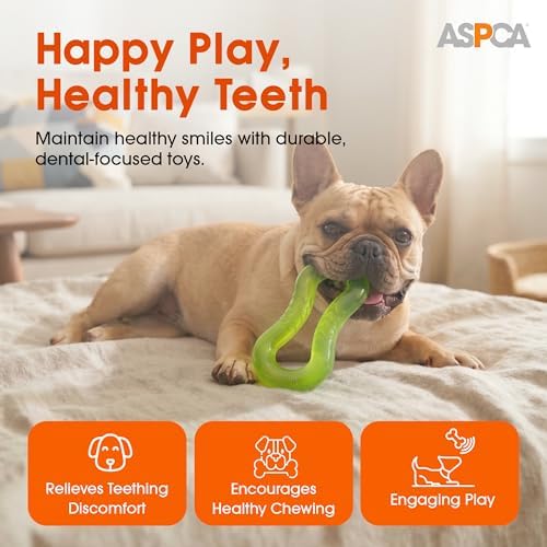 ASPCA TPR Translucent Twist Double Ring Dog Toy – Infinity Shape, Vanilla Scented, Gentle on Teeth, Durable Outdoor Play, Dental Health Chew Toy