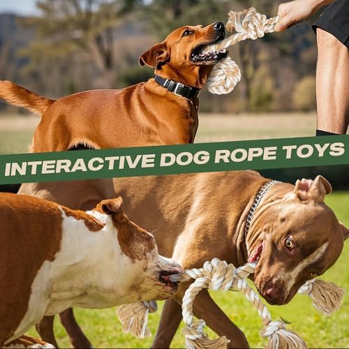 TwoEar Dog Rope Toys for Large Dogs - 3 Pack Dog Chew Toys