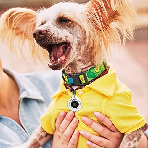QR Code Dog Tag Personalized Pet Id Silent Cat Tags Engraved Name Plate with Online Profile («Bingo Bone»)