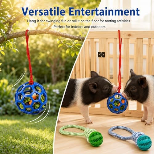 Ronyes 3 Pcs Pig Enrichment Toys, Treat Feeder and Rope Balls for Pet Pigs