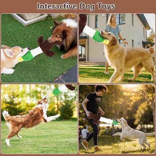 Drmstow Plush Dog Toys for Large Dogs, Duck Stuffed Squeaky Dog Chew Toy with Crinkle Paper, Interactive Pull Puppy Toys - Tug of War Dog Toys for Big Medium Samll Dog