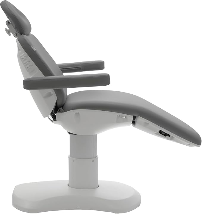 SKINACT Madison Electric Spa Facial Treatment Chair/Table (Gray)