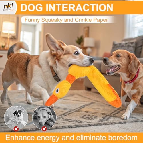 BEAUTYZOO Floating Dog Pool Toys 2 Pack,Squeaky Water Fetch Toys for Summer