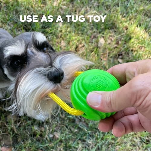 Project Hive Interactive Dog Toys - Set of 2 Looped Balls - Compatible with Hive Zoomer Dog Ball Thrower - Perfect for Fetch and Tug Play - Green and Blue