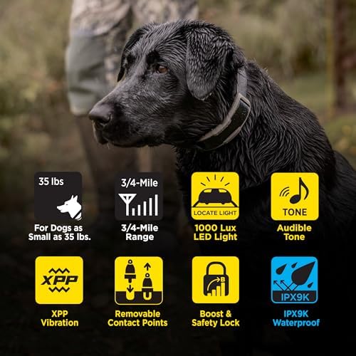 Dogtra 1900X 2-Dogs E-Collar with Remote - 3/4 Mile Range, 35 lbs+, LED Light, 100 Levels Control for Stubborn Dogs, Waterproof, Boost for Quick Recall, Vibration, Safety Lock & Tone
