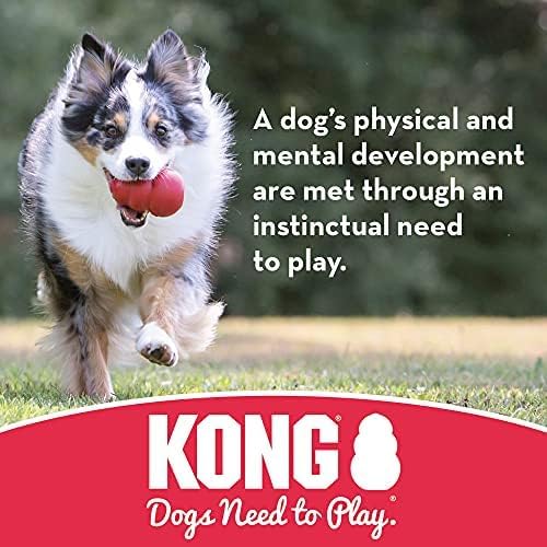 KONG Extreme Ball with Hole, Fetch Toy, Black, Large/Medium (Pack of 2)