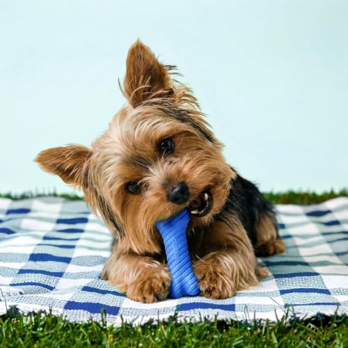 Playology Dual Layer Bone Dog Chew Toy - Small, Hot Dog Scent, 2-Pack