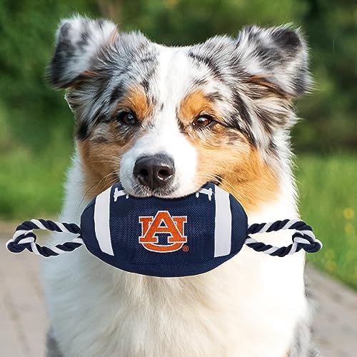Pets First NFL Unisex NFL Nylon Football