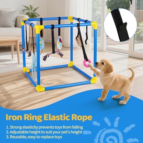 Liitrton Puppy Play Gym for Small Dogs with 8 Hanging Toys, Blue