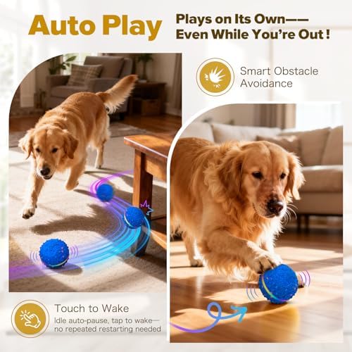 Interactive Dog Toys Ball, Self-Rolling & Bouncing Ball with RGB Colorful Lights to Keep Them Busy, 3-in-1 Interactive Mode, E-TPU Material, Type-C Charging, Moving Dog Toy for Dogs Puppies (Blue)