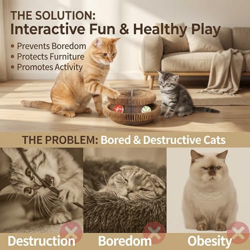 Interactive Cat Toy & Cardboard Cat Scratcher, Round Single-Layer Track