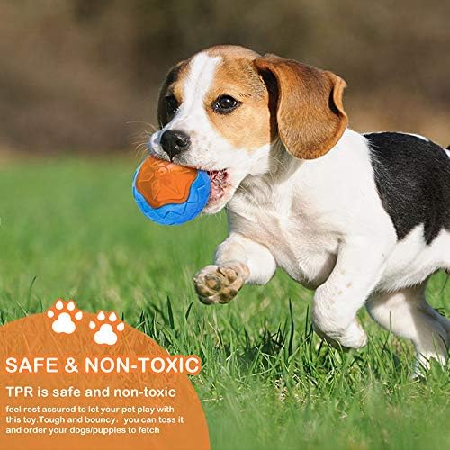 Dog Squeaky Pool Toys, Floating Interactive Fetch & Play for Beach, TPR