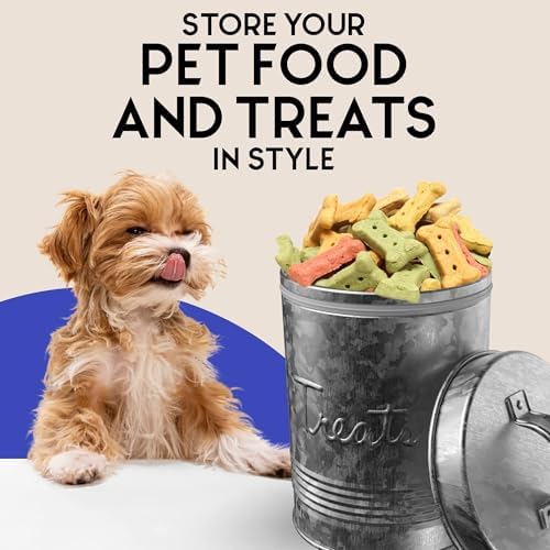 Amici Pet, Retro Treats Galvanized Relief Lettering Metal Storage Canister, Food Safe, Push Top, 72 Ounces (Pack of 2)