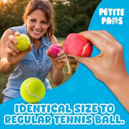 BundleBee Petite Paws Squeaky Tennis Balls for Dogs 2.5 Inch - 12 Pack Dog Toy Balls - Non-Toxic Rubber Squeaky Balls for Medium Large Dogs, Fetch Training Toys, Colorful Bouncy Dog Ball