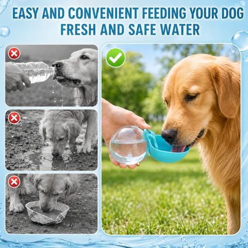 2 in 1 Portable Dog Water Bottle Tumbler, 10oz Stainless Steel (Blue)