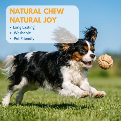 Dog Rope Toys for Small Dogs, 3 Pcs Puppy Teething & Natural Hemp Rope Toys
