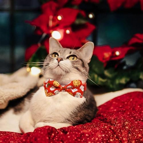 2 Pack Christmas Dear Santa & Cookie Mail Design Collars with Removable Bow Tie & Bell, Holiday Breakaway Safety Buckle Collar for Boys and Girls Kitties and Kitten(Red&Green)