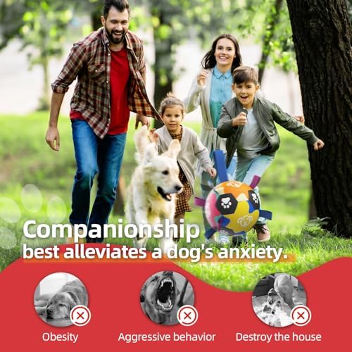 QDAN Dog Toy, Dog Soccer Ball with Straps, Dog Balls for Aggressive Chewers