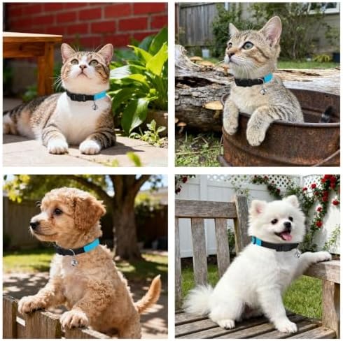 Big Blue Polka Dot Easy to Wear Pet Collar 2 Pack Collar for Cats