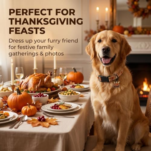 Fall Dog Collar, Thanksgiving Dog Collar for Medium Dog, M