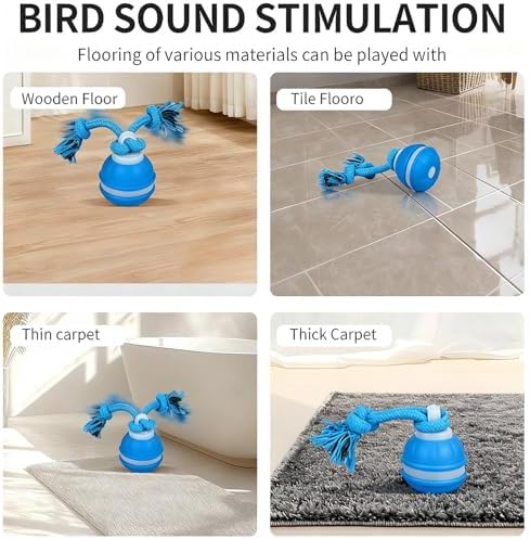 Interactive Dog & Cat Toy, Auto Chirping Ball, Rechargeable Self Play