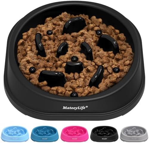 MateeyLife 1-Pack Slow Feeder Dog Bowls, 1 Cup, Dog Puzzle Feeder Bowl