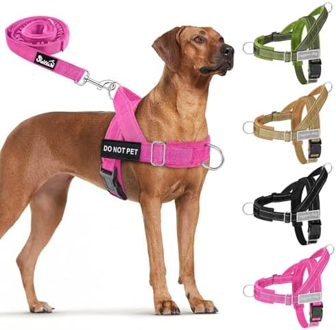 Lukovee No Pull Dog Harness and Leash Set, Soft Padded for Large Medium Dog
