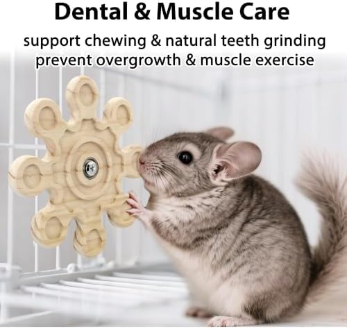 Rotating Chinchilla Chew Toys for Teeth, Kiln-Dried Wood Enrichment