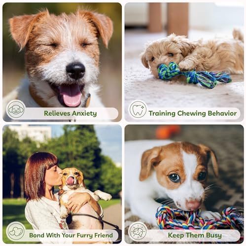 2 Pack Dog Rope Toy for Small Dogs, Durable Cotton Puppy Teething Toys