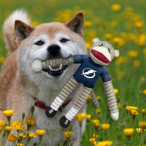 Littlearth NHL Team Sock Monkey Pet Toy - Officially Licensed Teams