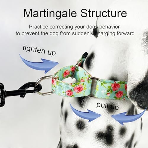 Martingale Collar for Dogs with Buckle No Pull, Green Floral, M
