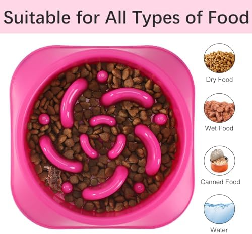 MateeyLife 1-Pack Slow Feeder Dog Bowls, 2 Cups, Dog Puzzle Feeder Bowl