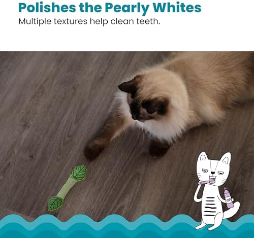 Catstages Fresh Breath Mint Stick Cat Toy, Dental Chew with Catmint, 5"