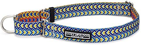 Lucky Love Dog Martingale Collar for Small Dogs No Slip – Murphy, Small